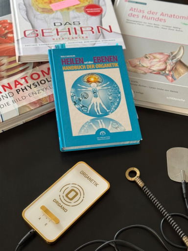 Heilen auf allen Ebenen 